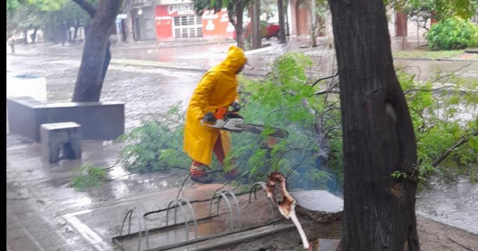 Ante los destrozos causados por las fuertes raacutefagas de viento se activoacute el Comiteacute de Emergencia 