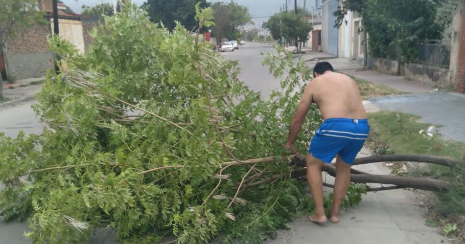 Los fuertes vientos causaron dantildeos sobre la Capital