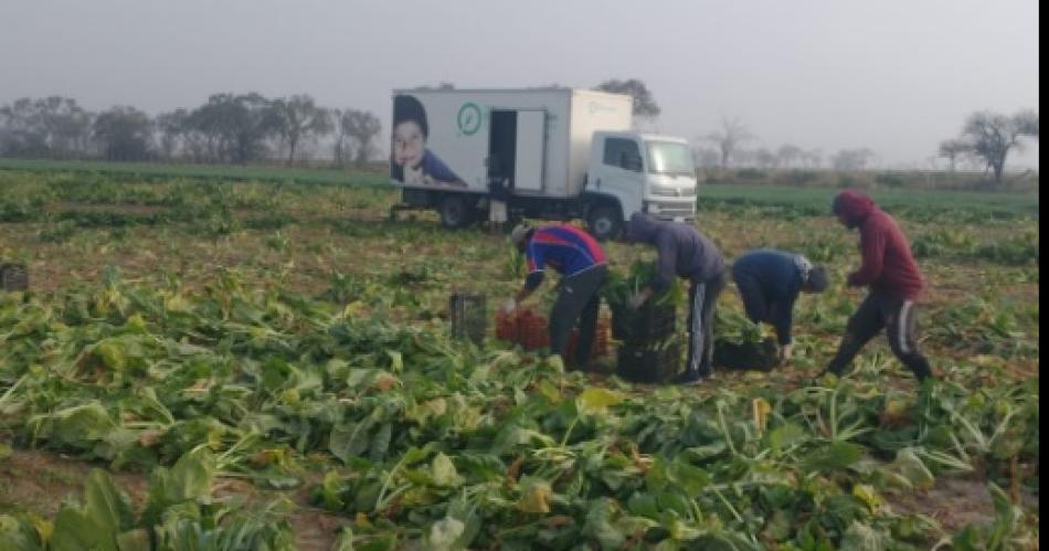 Crecioacute la demanda en el Banco de Alimentos de instituciones y familias