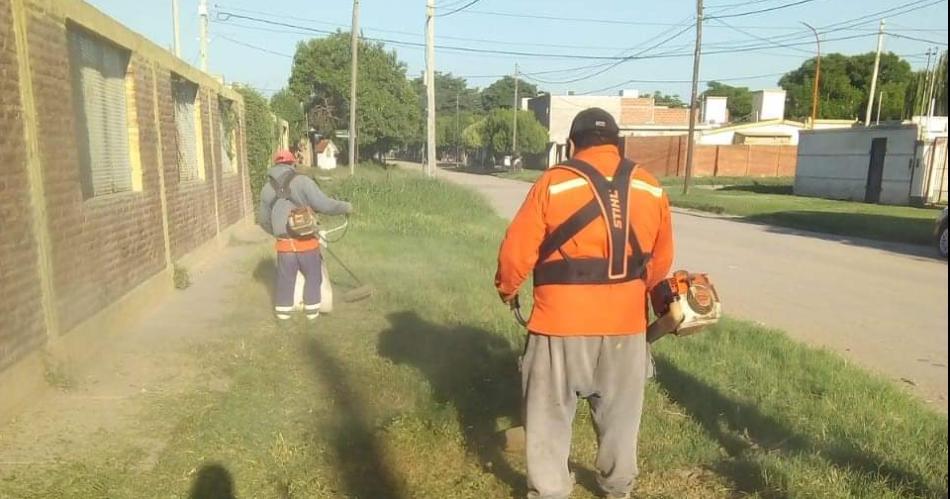 Aplican programa de limpieza y desinfeccioacuten en escuelas de Friacuteas