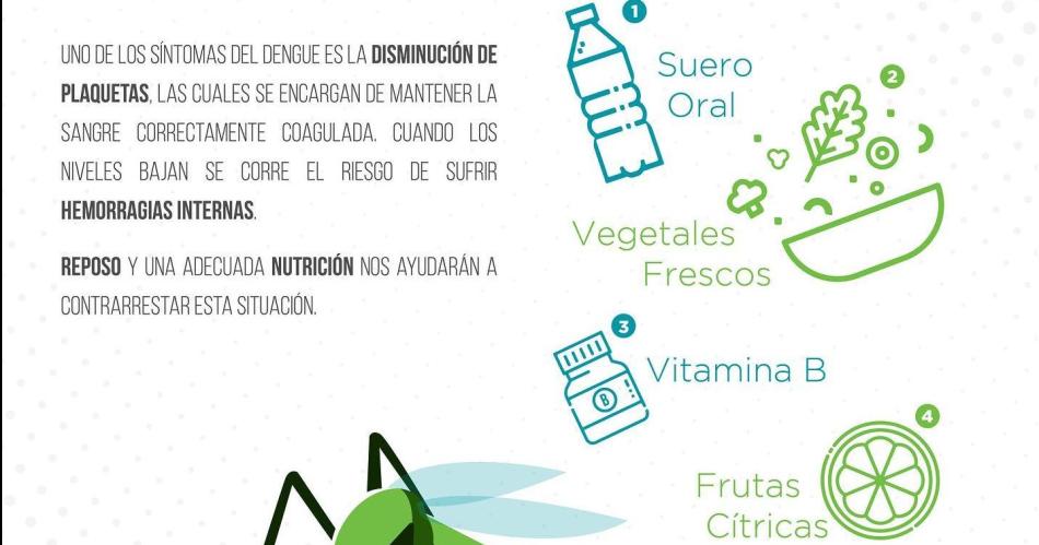 Dengue- la nutricioacuten resulta clave para fortalecer las defensas