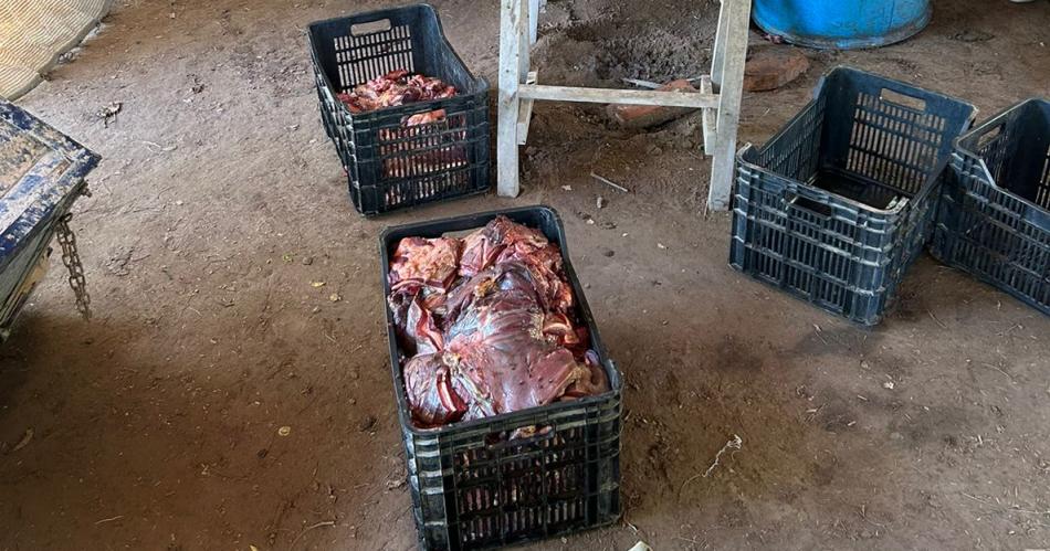 Desbaratan una banda dedicada a la faena y venta clandestina de carne en el interior