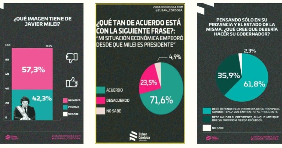 El 716-en-porciento- afirma que su situacioacuten econoacutemica empeoroacute con Milei