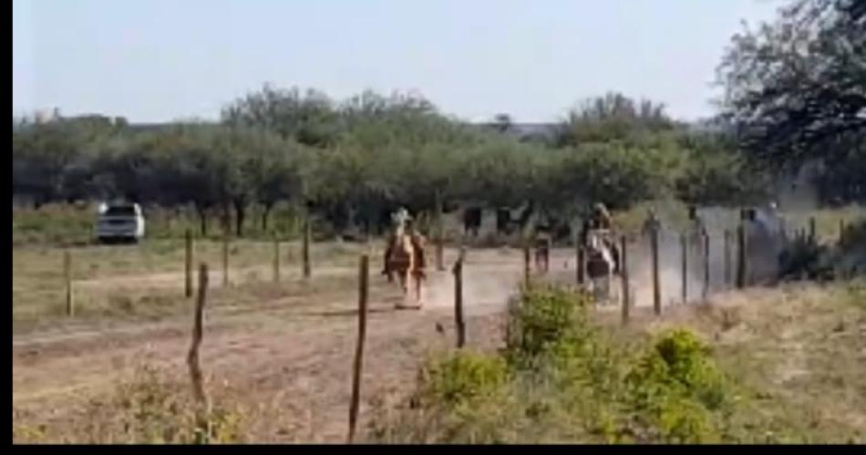 VIDEO- La policiacutea suspendioacute unas chaleras ilegales en la tercera carrera