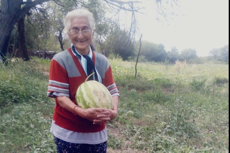 Tiene 92 antildeos y cosechoacute zapallos gigantes a pesar de la sequiacutea