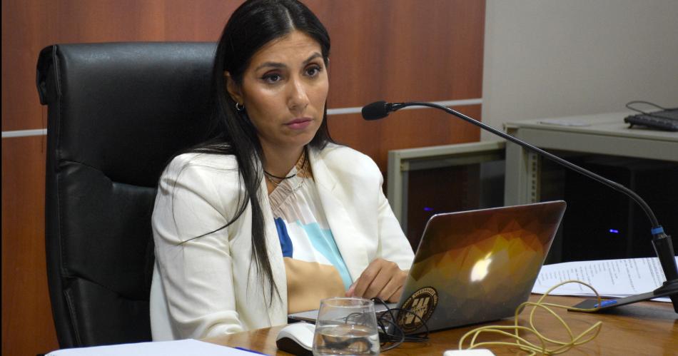 JUEZA Carolina Salas presidió la audiencia