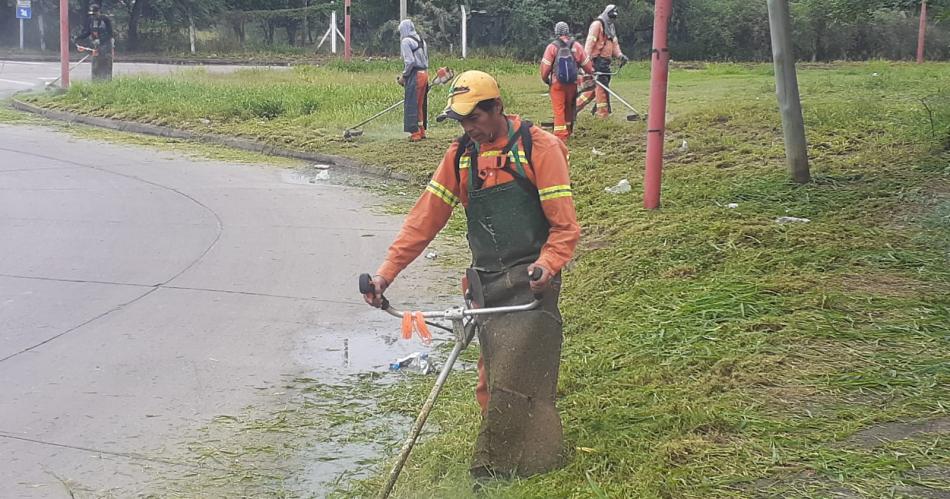 La Capital refuerza el recorte de malezas en platabandas y laterales de avenidas y colectoras