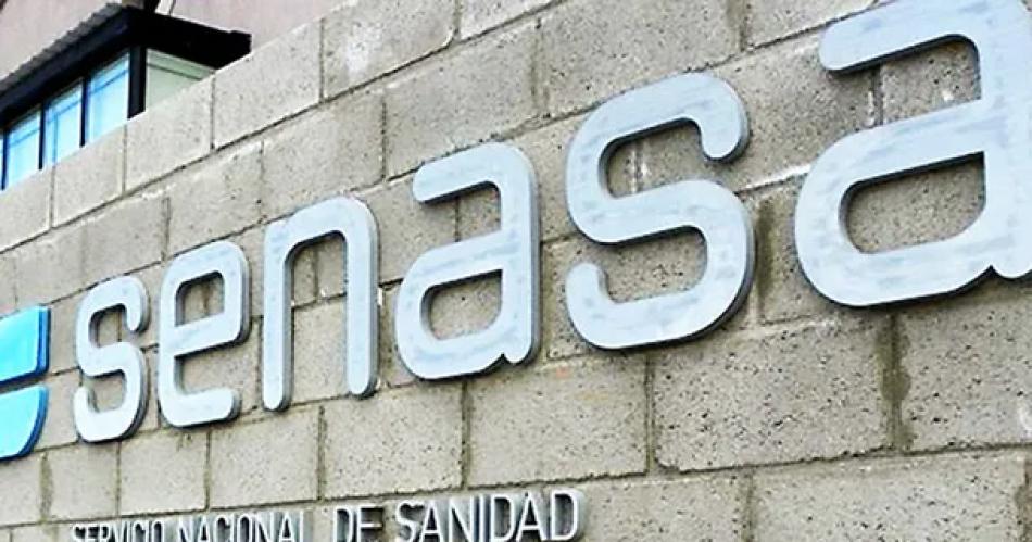 SENASA haraacute un paro de tres diacuteas- se frenan las exportaciones desde el lunes