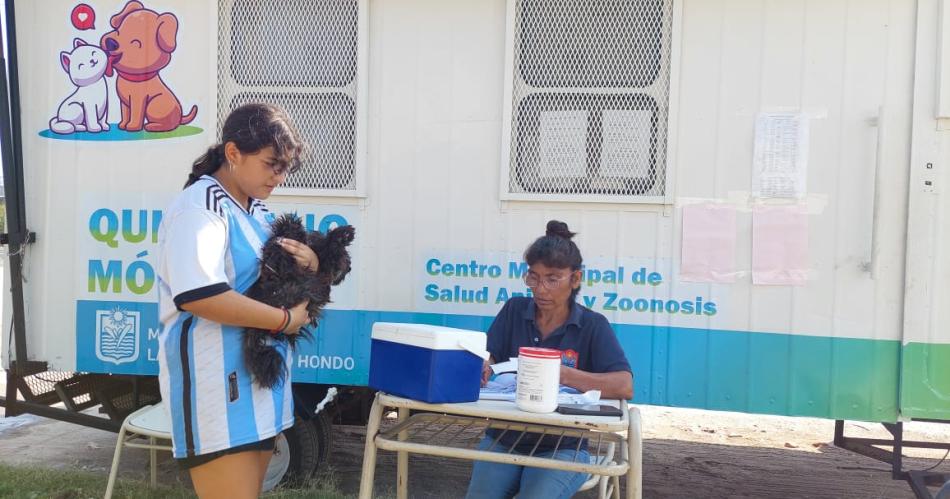 La campantildea semanal de castracioacuten termense se iniciaraacute en el Bordm Urquiza