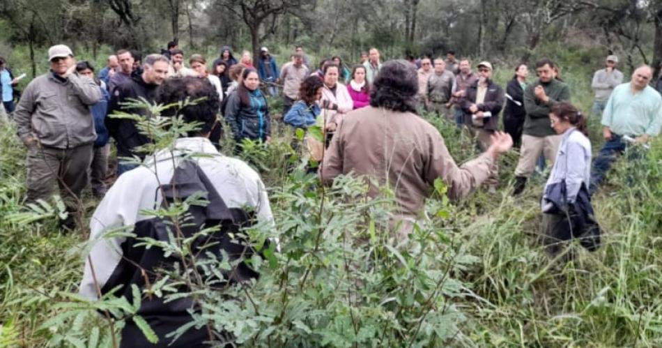 Establecen acuerdos para manejo de bosques con ganaderiacutea 