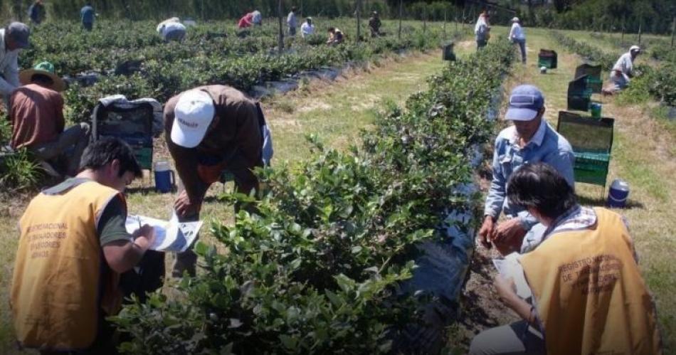 Advierten por la ola de despidos de trabajadores que parece no tener fin