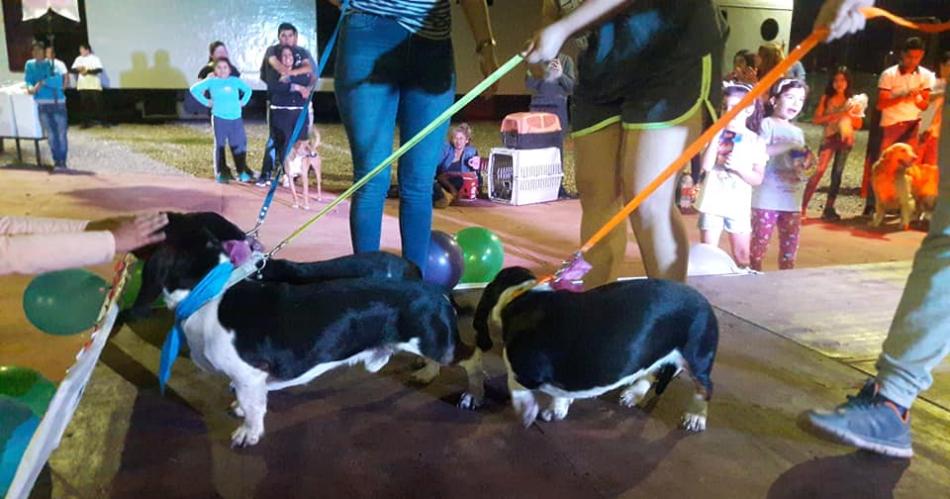 Invitan el domingo 5 a Marcha Aeroacutebica y Desfile de Mascotas