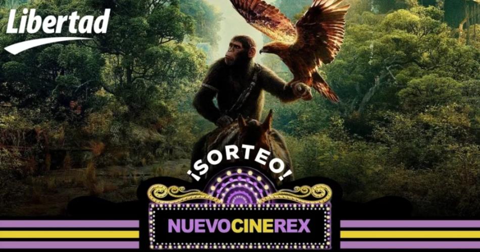 Estos son los ganadores de las entradas para el Nuevo Cine Rex