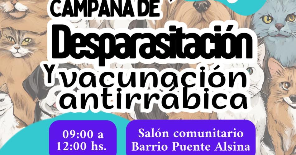 Realizan un operativo de desparasitacioacuten y vacunacioacuten de gatos y perros