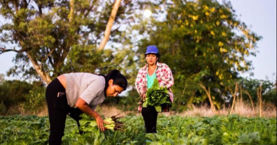 Habilitan preinscripcioacuten para la Diplomatura en Agricultura Familiar 