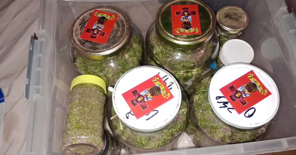 Allanamiento en La Banda- secuestran marihuana plantas de cannabis y semillas