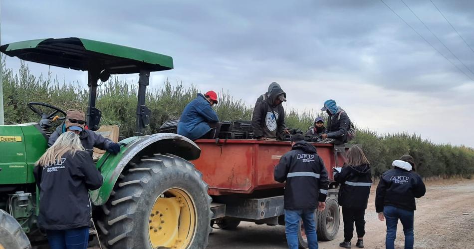 AFIP detectoacute trabajo ilegal en una finca de olivos- habiacutea indicios de trata de personas