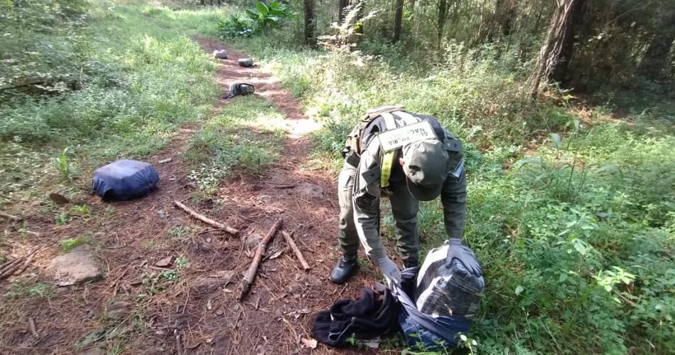 Gendarmes detectan casi 300 kilos de marihuana en zona montuosa