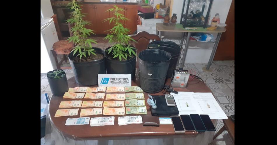 Prefectura detuvo a siete personas por traacutefico de marihuana cocaiacutena y LSD