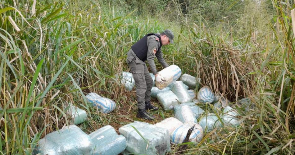 Gendarmes hallan maacutes de 500 kilos de droga en una zona montuosa