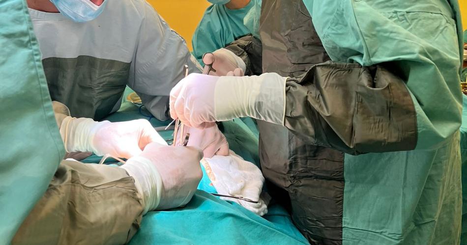 El Hospital Zonal de Friacuteas recibioacute a alumnos de medicina de la Universidad Favarolo