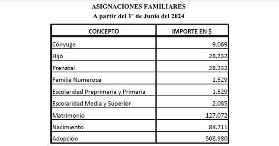 La Provincia actualizoacute montos de las asignaciones familiares