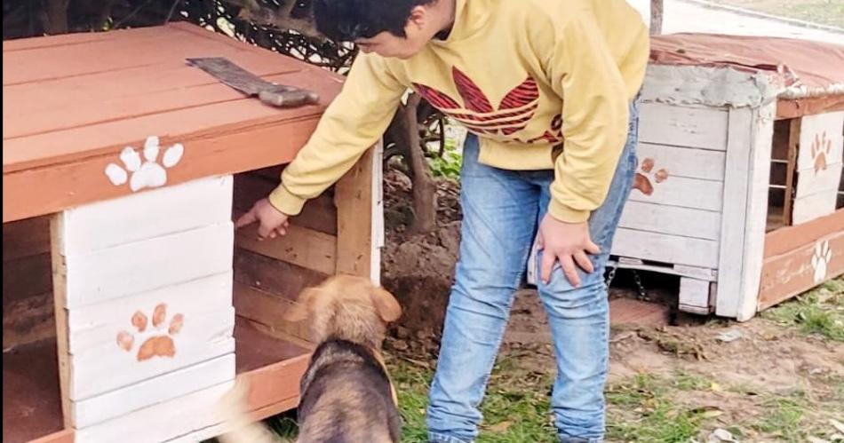 Los joacutevenes del Hogar crearon cuchas para los perros callejeros