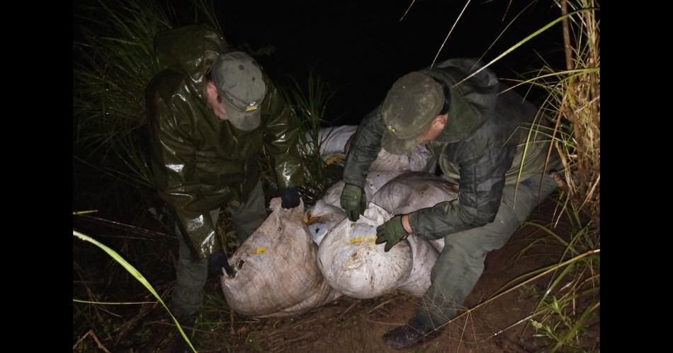 Efectivos de GNA hallan maacutes de 500 kilos de marihuana al patrullar una zona montuosa