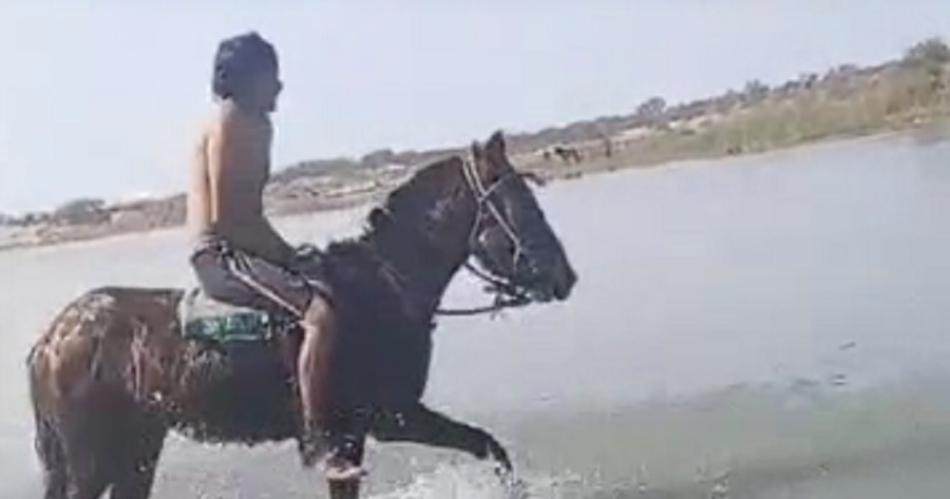 VIDEO- Repudian el triste final de un caballo en las aguas del Riacuteo Dulce