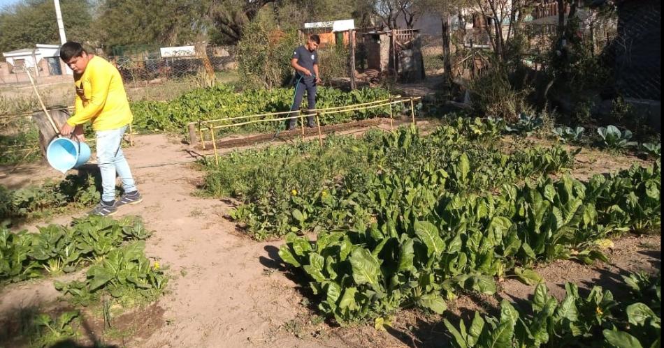 Clodomira- habraacute una muestra pedagoacutegica del Taller de Huerta