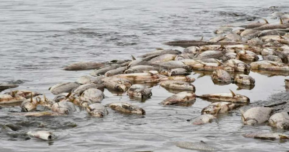 Multas millonarias a ingenios que contaminan la cuenca Saliacute-Dulce