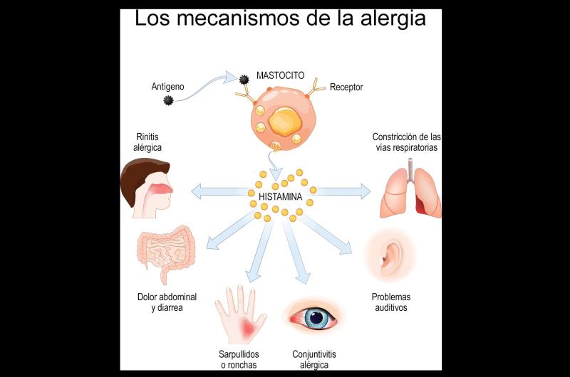 Piden evitar cambios bruscos de temperatura para prevenir las alergias propias de la estacioacuten