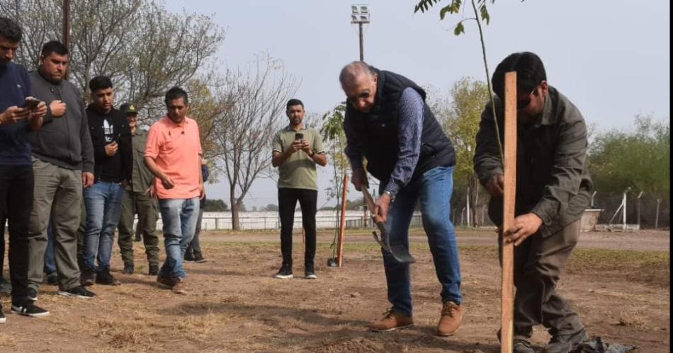 La comuna de Friacuteas puso en marcha el proyecto Pulmoacuten Verde