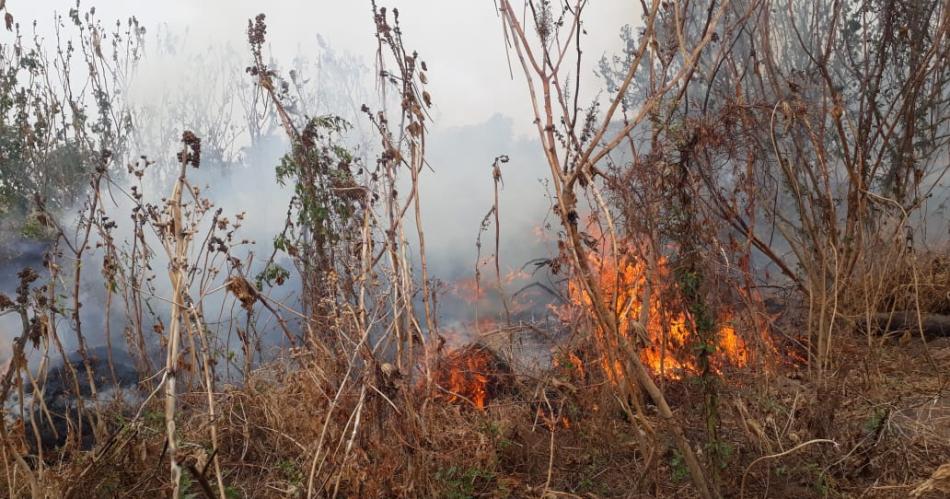 Siguen los incendios y los Bomberos insisten en tomar precauciones