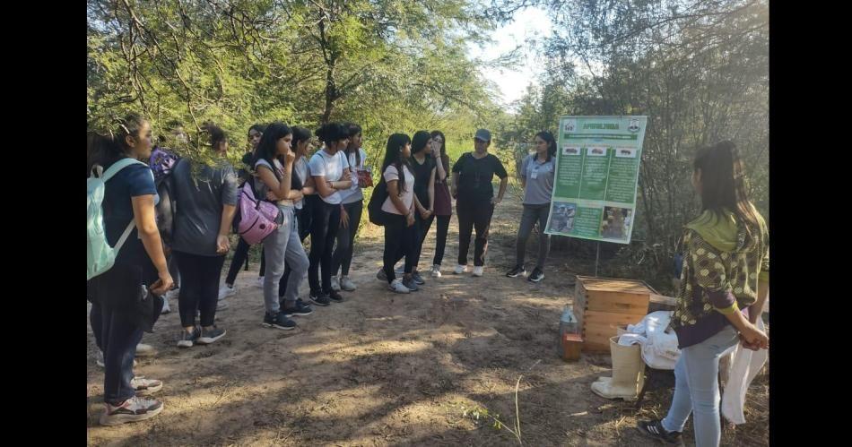 Se realizaraacute la II Feria de Proyectos Ambientales de la Regioacuten NOA