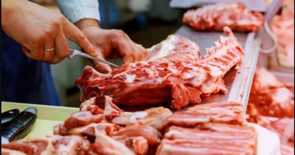 Cifras que preocupan- seguacuten un informe del IERAL la carne vacuna cayoacute 16-en-porciento-