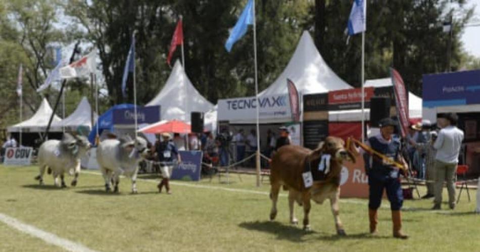 ExpoBRA 2024- Tres diacuteas de geneacutetica y negocios en Santiago del Estero