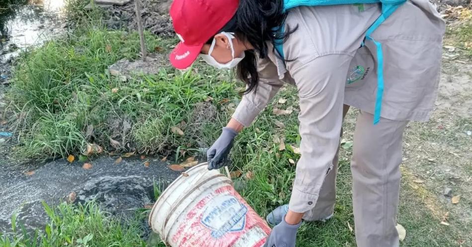 Podemos llegar a tener un brote de dengue y por eso ya estamos alertas a nivel provincial