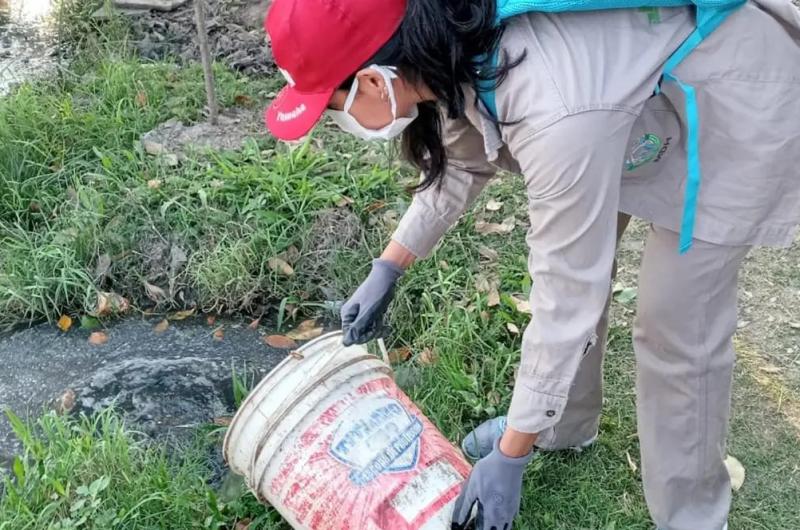 Podemos llegar a tener un brote de dengue y por eso ya estamos alertas a nivel provincial