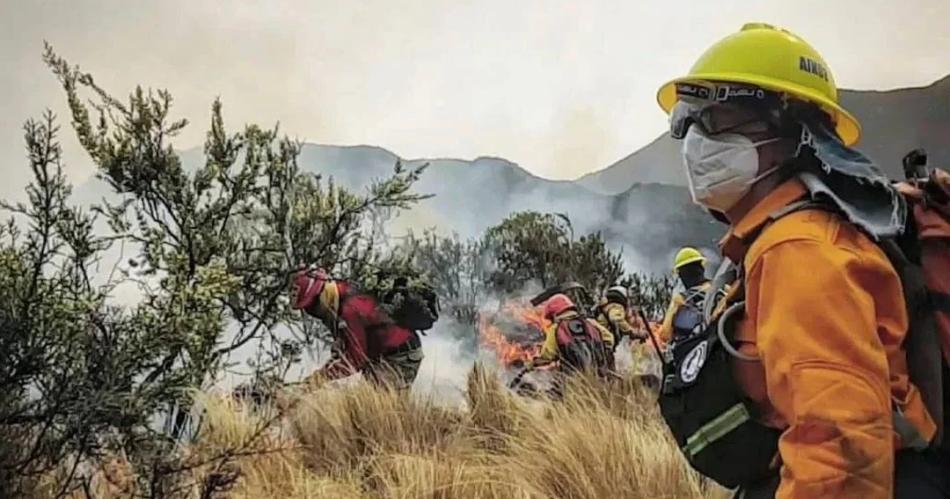 Coacuterdoba declara emergencia ambiental por incendios