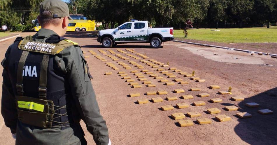 Misterio- GNA descubre maacutes de 136 kilos de marihuana entre la vegetacioacuten