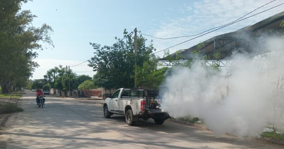 Cronograma de fumigaciones que se desarrollaraacute esta semana