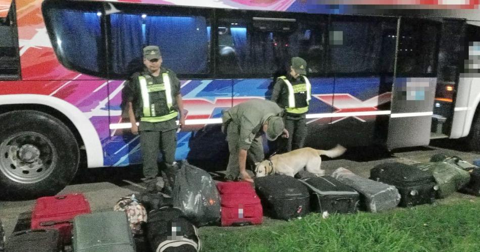 El can Ulises halloacute varios ladrillos de cocaiacutena en un colectivo de larga distancia