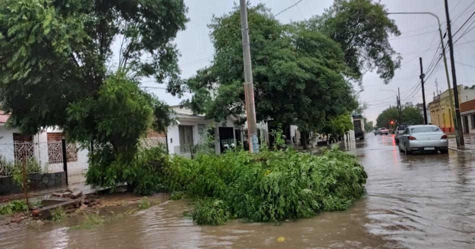 Tormentas en el interior de la provincia- Se desprendieron aacuterboles y otras complicaciones 