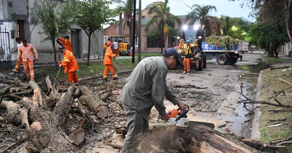 El Comiteacute de Emergencia despeja calles y veredas luego de la tormenta