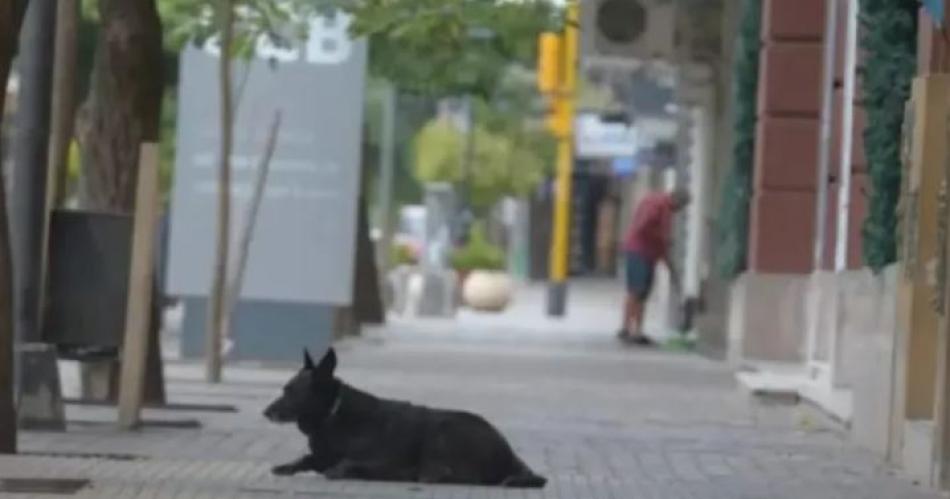 Santiago viviraacute un viernes de mucho calor- maacutexima de 38deg