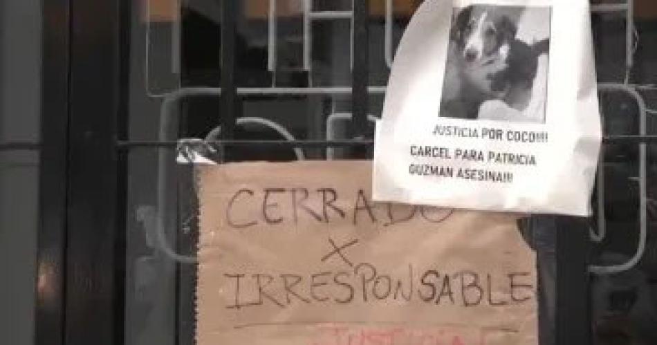 Vandalizaron el local de la duentildea del perro que murioacute encerrado en el auto