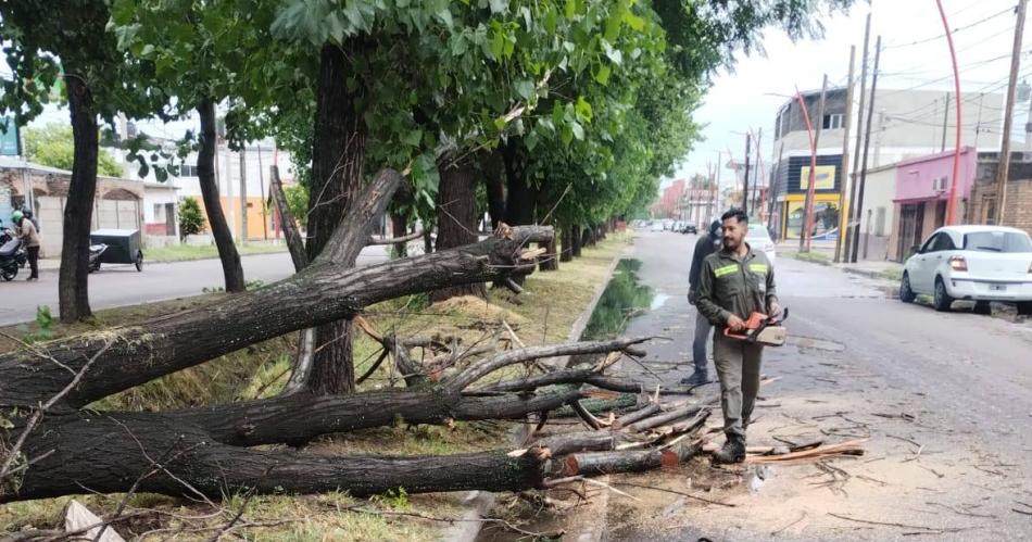 Tormenta en Santiago del Estero provocoacute caiacuteda de aacuterboles y zonas anegadas