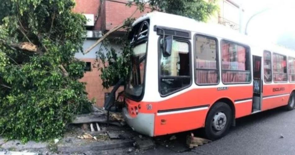 Un micro que trasladaba a nintildeos de una colonia de vacaciones chocoacute contra un aacuterbol