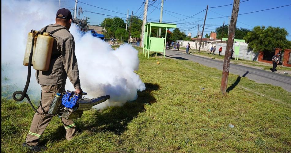 Se refuerzan las medidas para la prevencioacuten del dengue